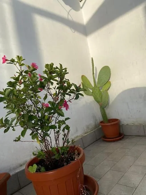Piccolo Sogno Apartment Rome